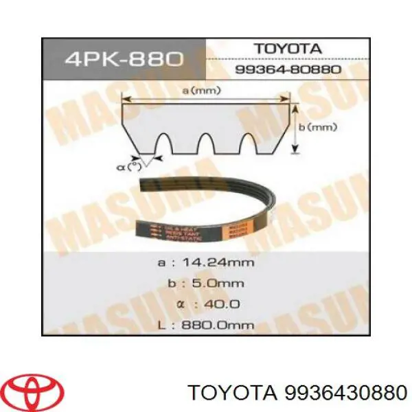 Correa de transmisión trapezoidal Toyota 9936430880 precio, desde 6,35 EUR
