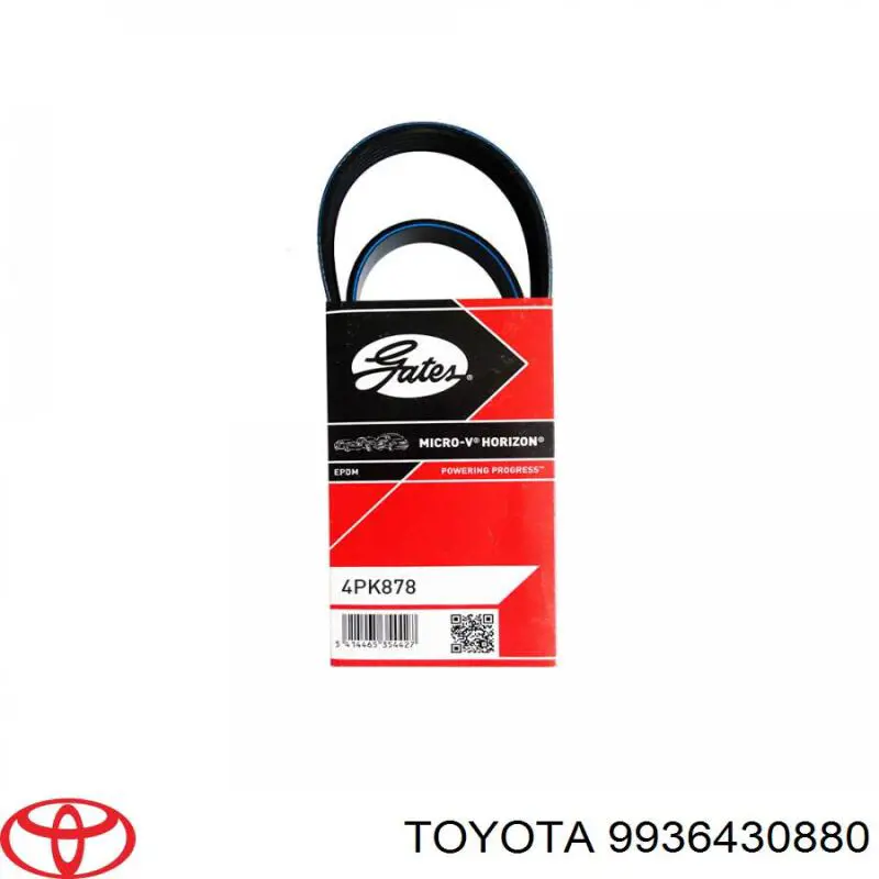Correa de alternador 9936430880 Toyota