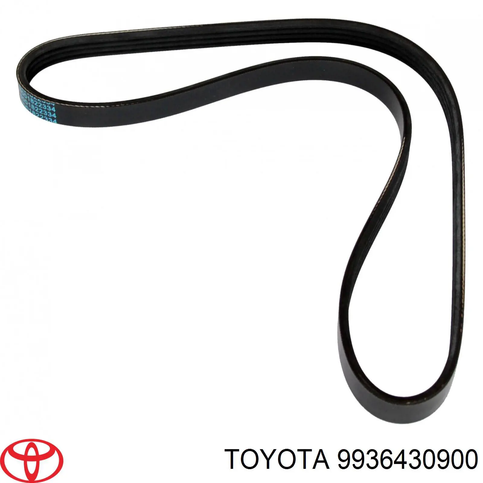 Correa trapezoidal Subaru Forester 1 S10, SF