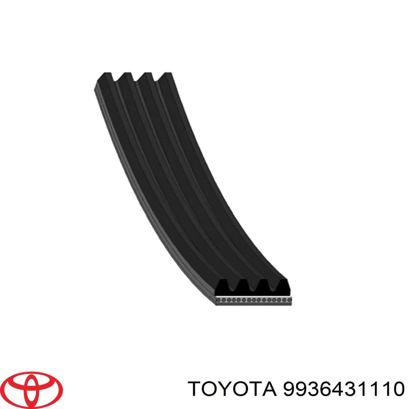 Correa de alternador 9936431110 Toyota