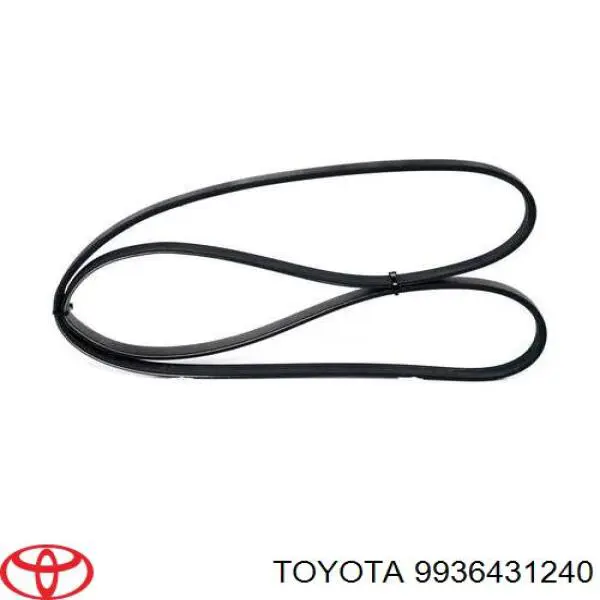 9936431240 Toyota correa trapezoidal