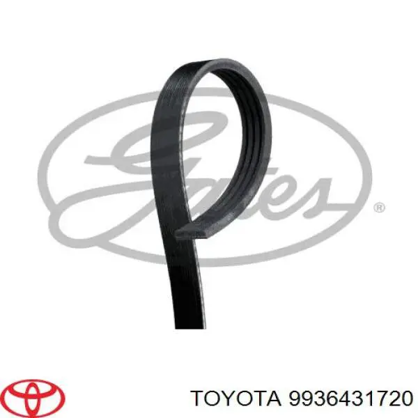 Correa de transmisión trapezoidal Toyota 9936431720 precio, desde 13,22 EUR