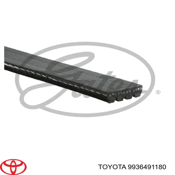 9936491180 Toyota correa trapezoidal