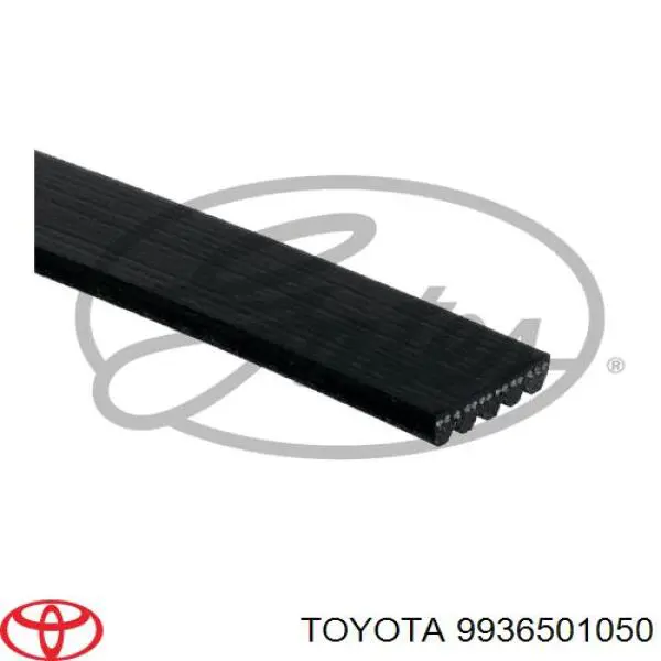9936501050 Toyota correa trapezoidal