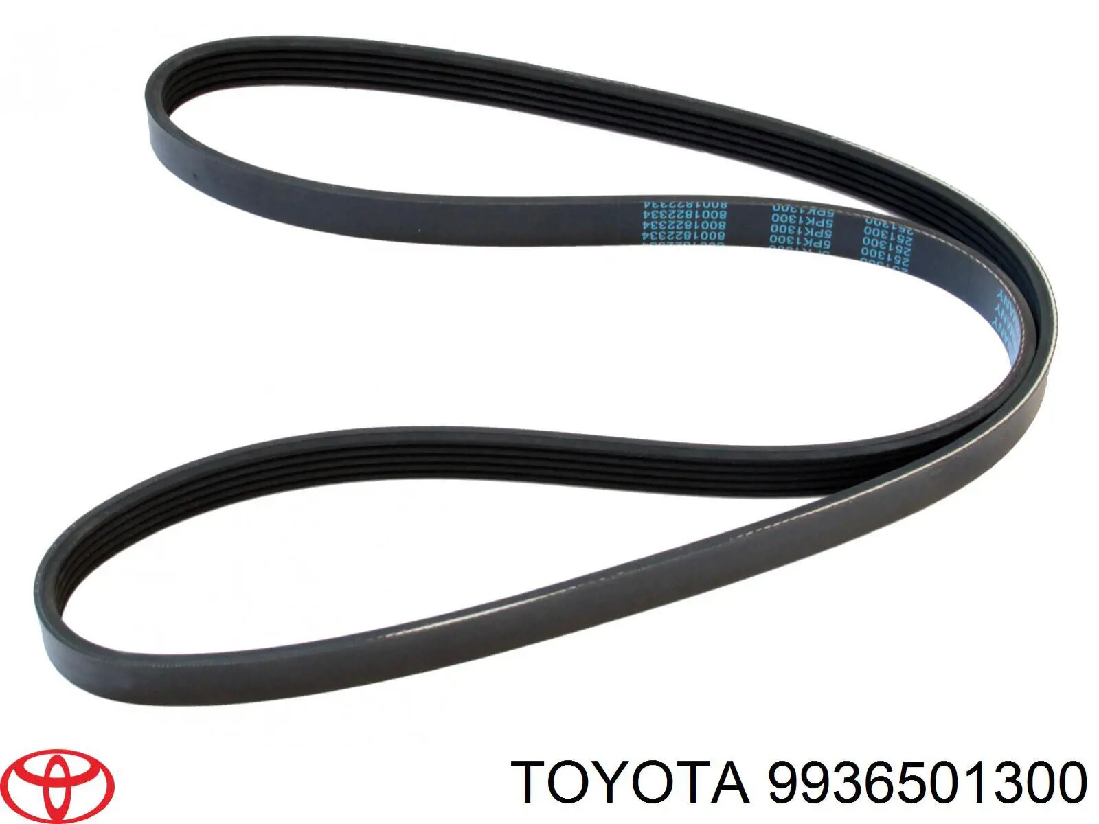 9936551300 Toyota correa trapezoidal