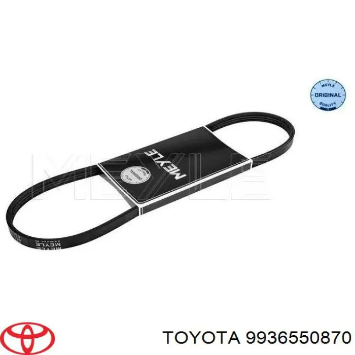 9936550870 Toyota correa trapezoidal