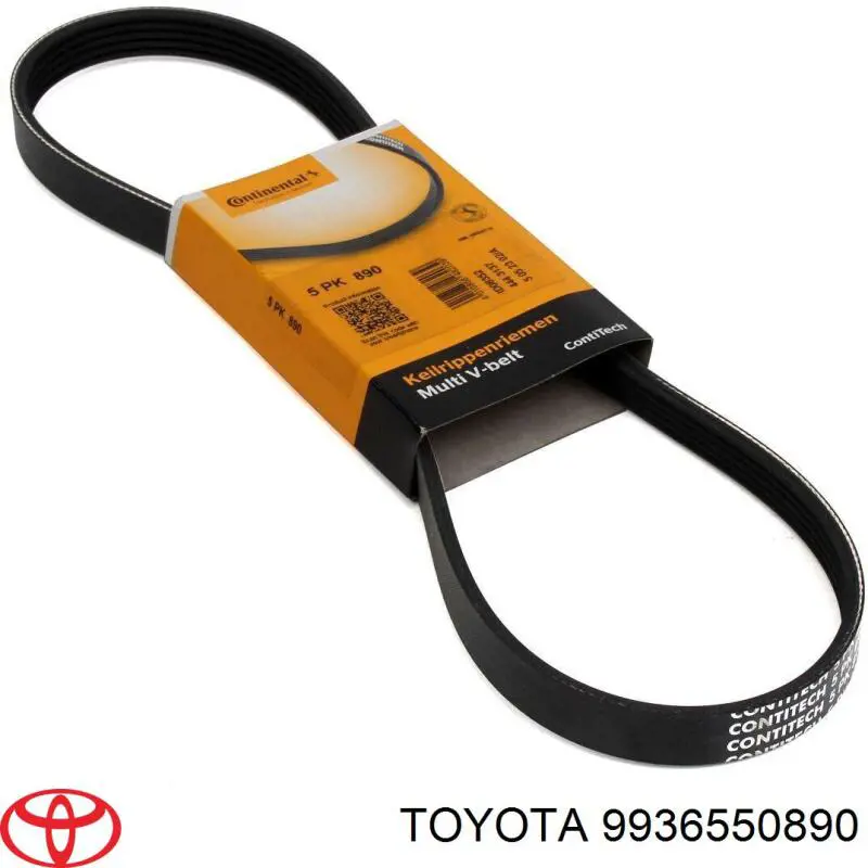 Correa de alternador 9936550890 Toyota