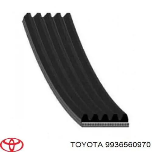 9936560970 Toyota correa trapezoidal