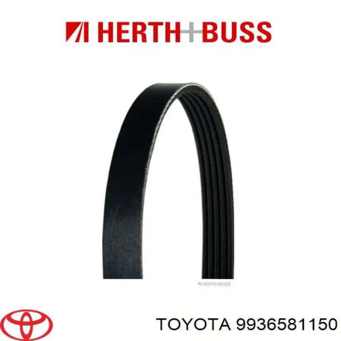 Comprar 9936581150 Toyota Correa trapezoidal