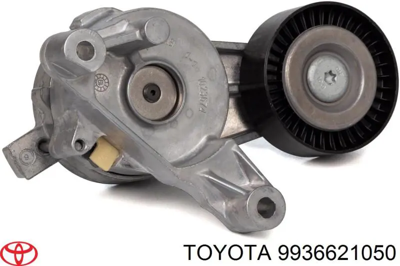 Correa de alternador 9936621050 Toyota