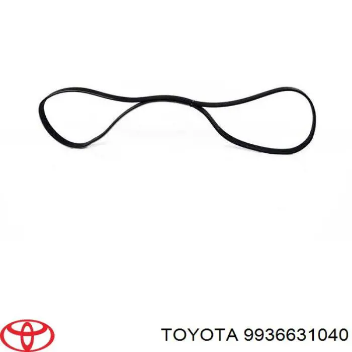 Correa de alternador 9936631040 Toyota