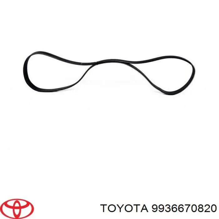 Correa de transmisión trapezoidal Toyota 9936670820 precio, desde 11,04 EUR