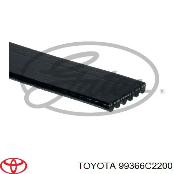 Correa de transmisión trapezoidal Toyota 99366C2200 precio, desde 27,24 EUR