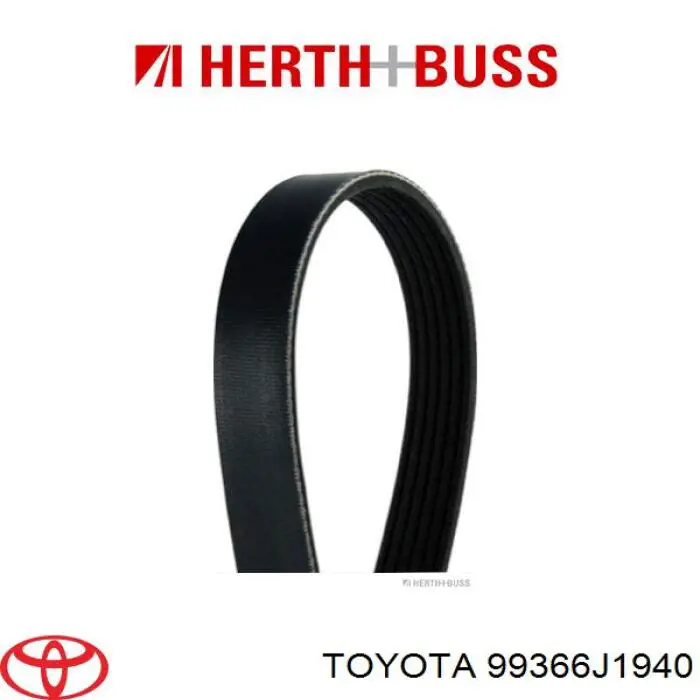 99366J1940 Toyota correa trapezoidal