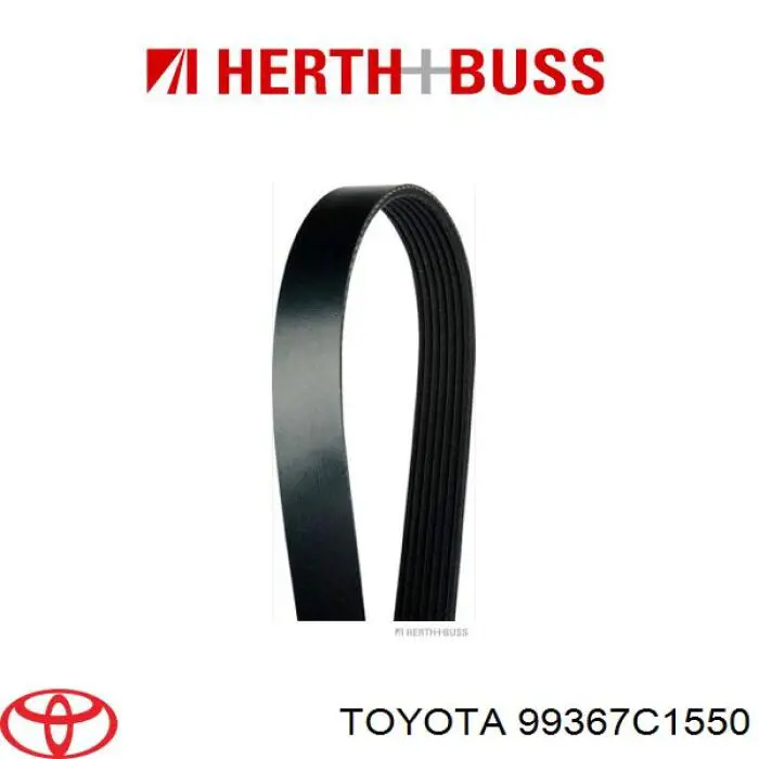 Comprar 170679 Febi Correa trapezoidal