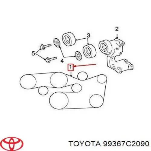 Correa de transmisión trapezoidal Toyota 99367C2090 precio, desde 34,76 EUR