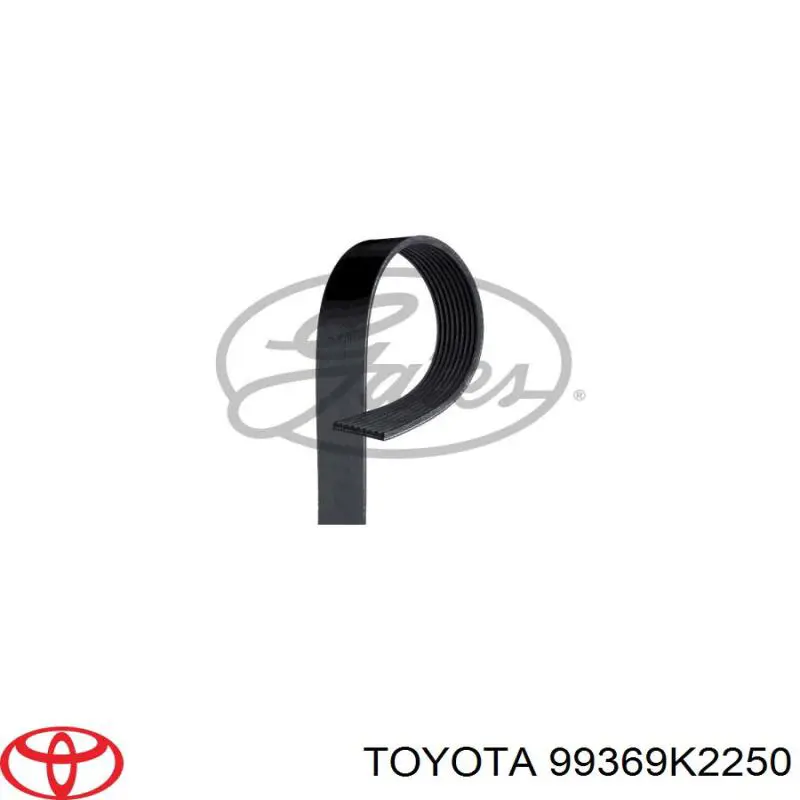 Correa de transmisión trapezoidal Toyota 99369K2250 precio, desde 44,67 EUR