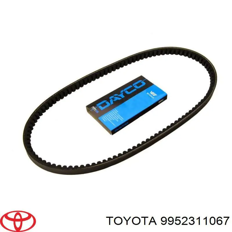 9952311067 Toyota correa trapezoidal