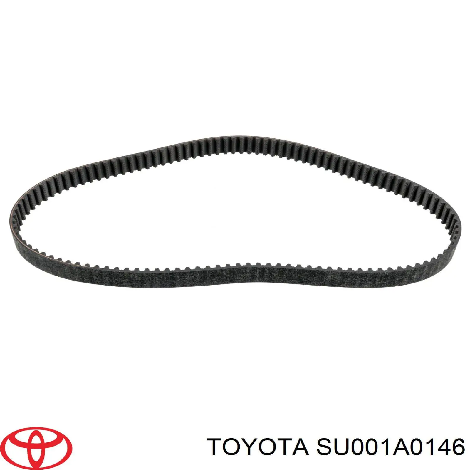 9687911580 Peugeot/Citroen Correa dentada