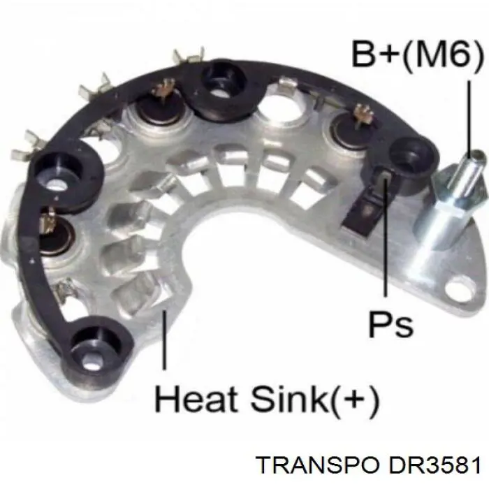 DR3581 Transpo