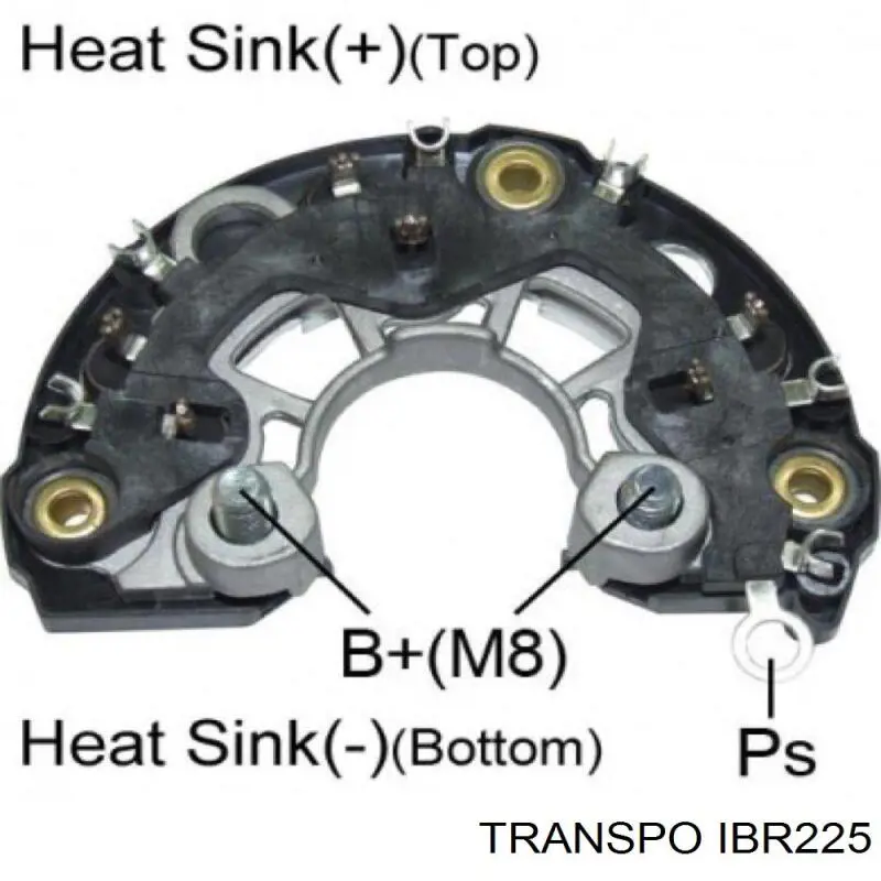 IBR225 Transpo