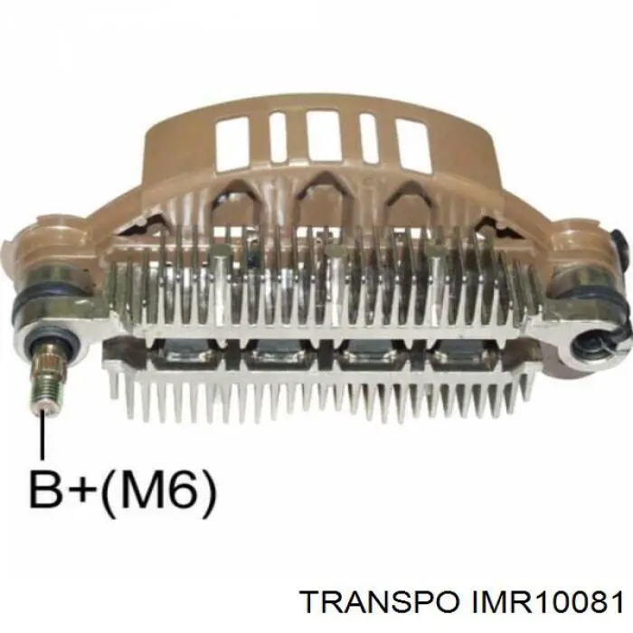 IMR10081 Transpo puente de diodos, alternador