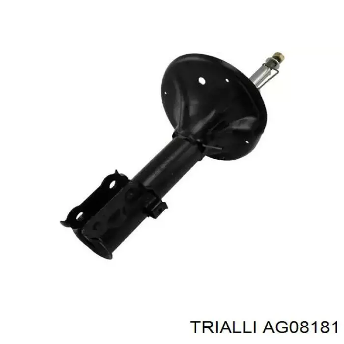 AG08181 Trialli amortiguador delantero izquierdo