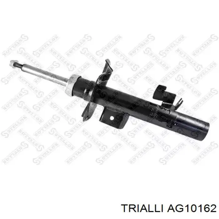 Amortiguador delantero izquierdo Trialli AG10162 precio, desde 55,18 EUR