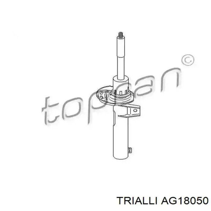 Amortiguador AG18050 Trialli
