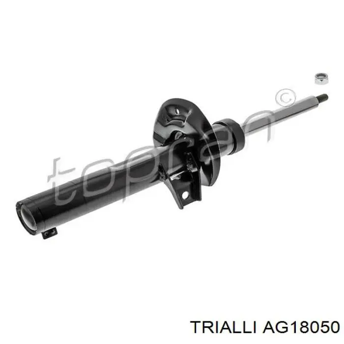 AG18050 Trialli amortiguador delantero