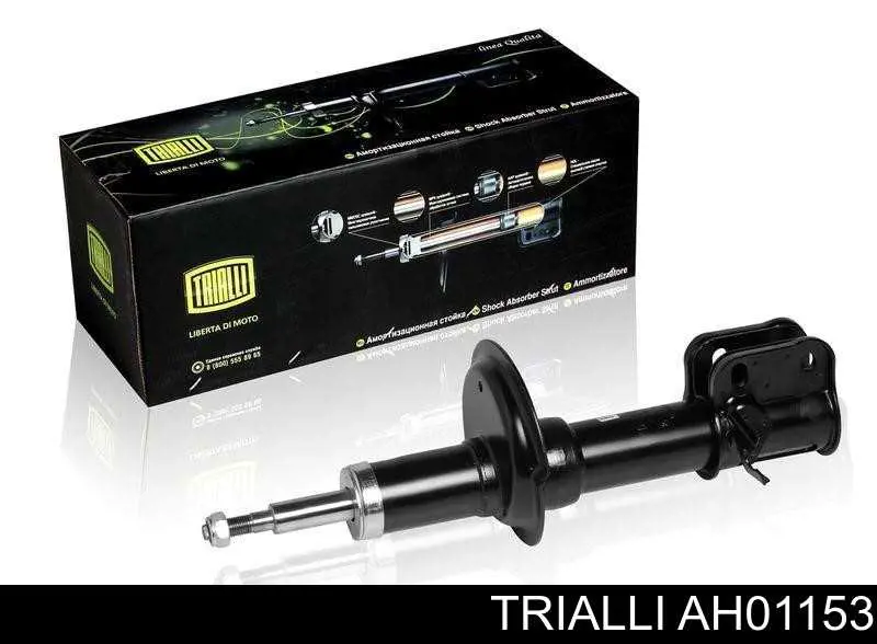 RS312584 Raiso Amortiguador frontal izquierdo