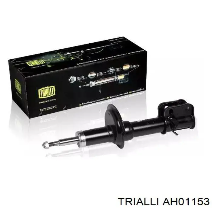 Amortiguador delantero izquierdo Raiso RS312584 precio, desde 48,99 EUR