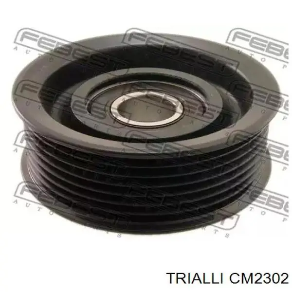 Comprar CM2302 Trialli Polea tensora, correa poli V
