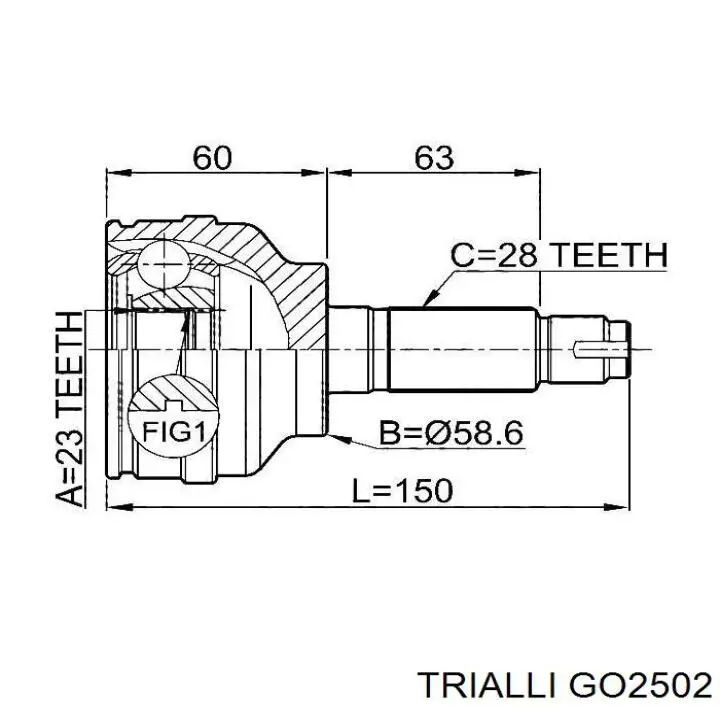 GO2502 Trialli junta homocinética exterior delantera