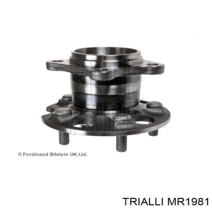MR1981 Trialli cubo de rueda trasero