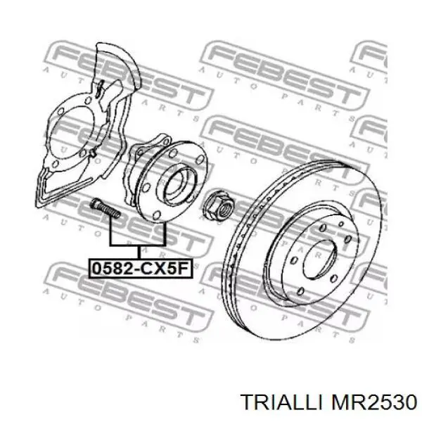 Buje de rueda Trialli MR2530