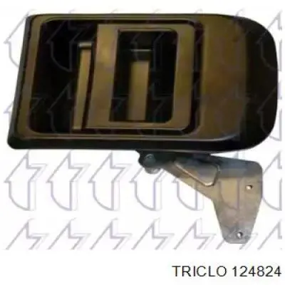 504065079 Iveco manecilla de puerta de batientes, derecha exterior