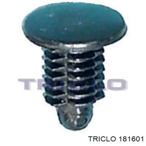 Cilindro de cerradura de puerta delantera izquierda 113573755 Hans Pries (Topran)