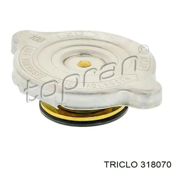 Comprar 954087 Cautex Tapa radiador