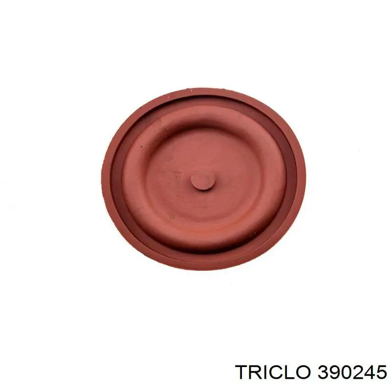 Tapa de la válvula AVS CV0301 precio, desde 28,79 EUR