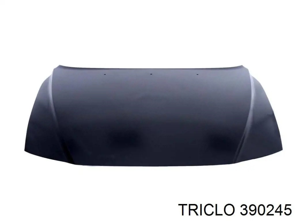 Tapa de valvula AVS CV0301