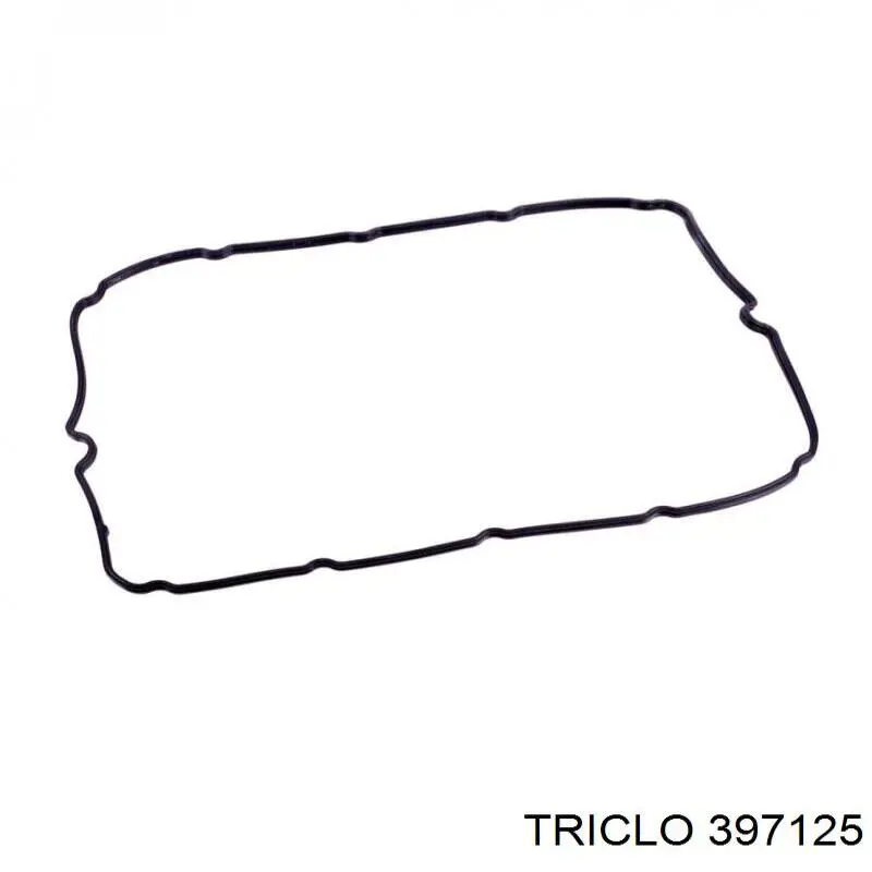 Comprar 248P9 Peugeot/Citroen Tapa de balancines