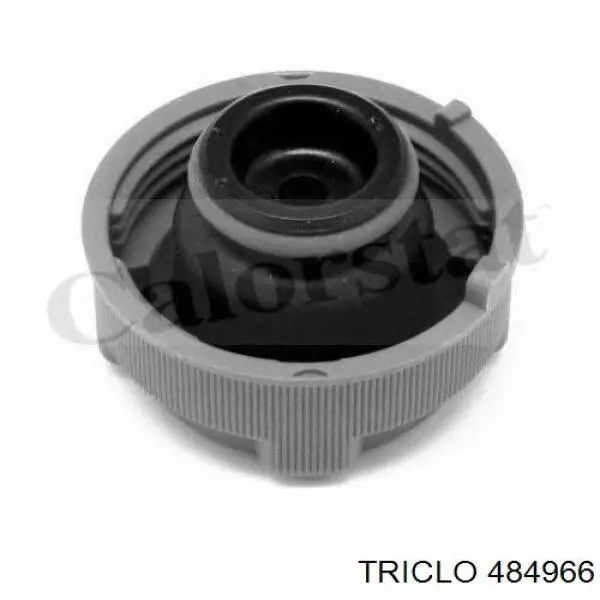 Comprar 93934760 Fiat/Alfa/Lancia Deposito expansion