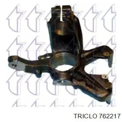 762217 Triclo Mangueta delantera izquierda
