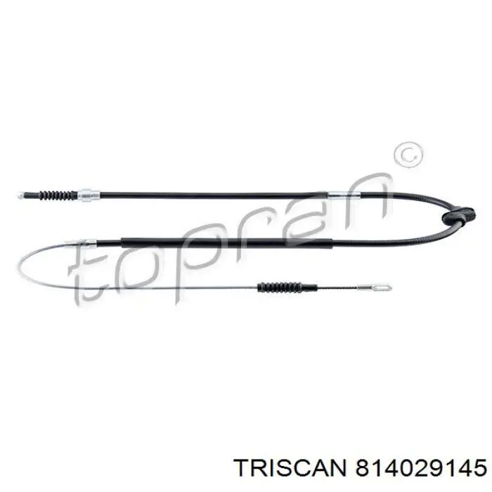 814029145 Triscan cable de freno de mano trasero derecho/izquierdo