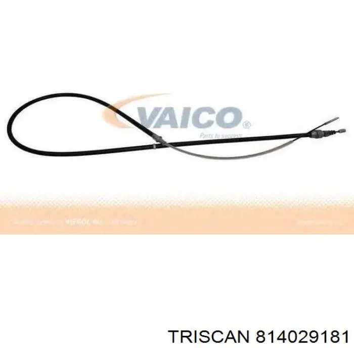 814029181 Triscan cable de freno de mano trasero derecho/izquierdo