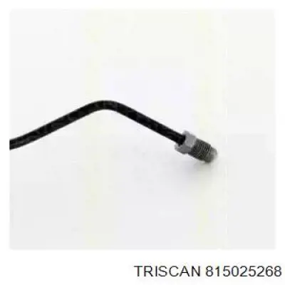 Manguera de freno trasera izquierda Renault (RVI) 463160004R precio, desde 26,72 EUR