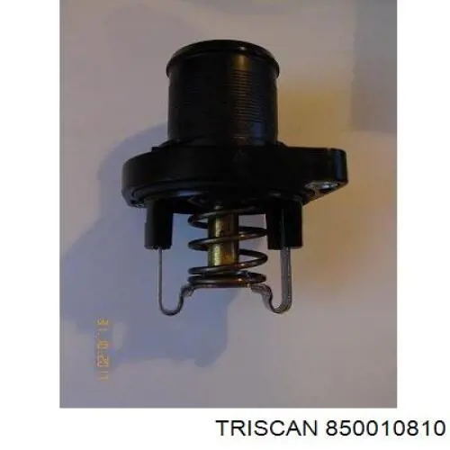 Comprar 01700242 RTS Silentblock trasero