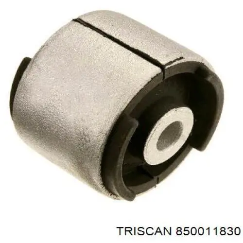 Buje de mangueta trasera 1137806 BMW