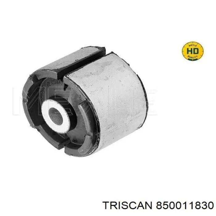 Buje de mangueta trasera BMW 1137806